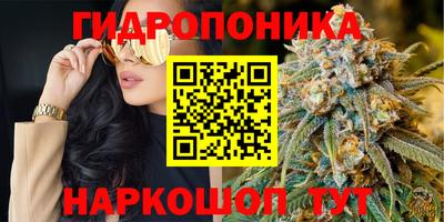 apvp Апшеронск