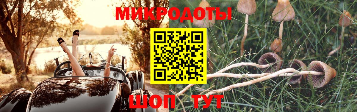 Владикавказ  Псилоцибиновые грибы Magic Shrooms  Псилоцибиновые грибы Cubensis  Вход с VPN 